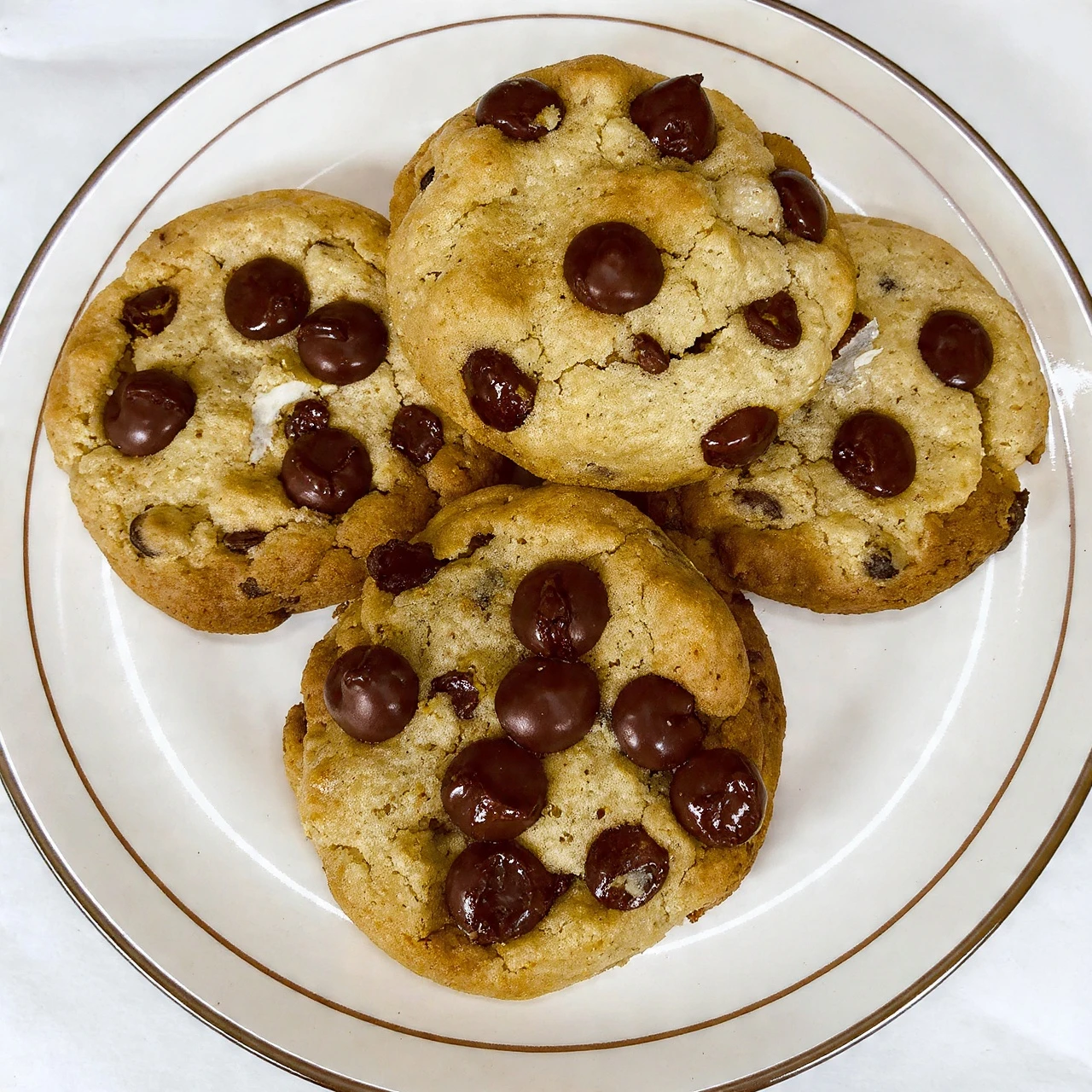 Chocolate Chip Cookie