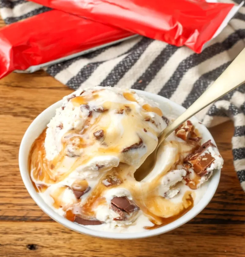 Turtle Ice Cream